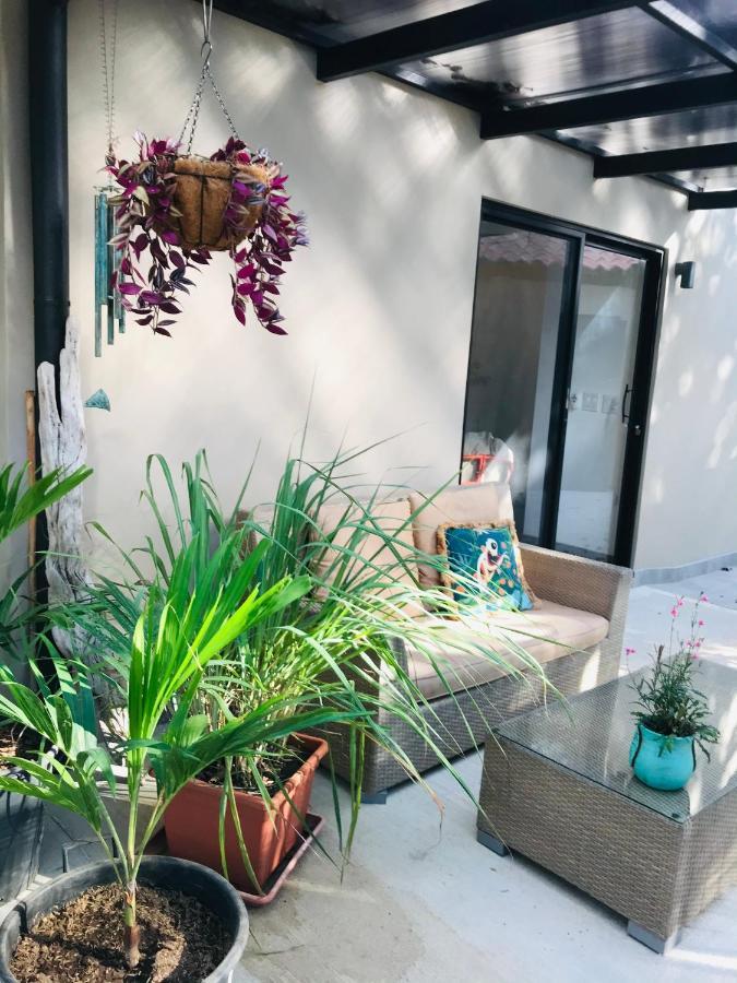 Bungle In The Jungle Apartment Panama Exterior photo